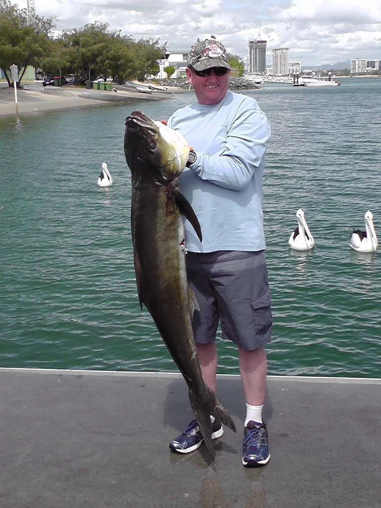 Avenger Fishing Charters - Gold Coast - Big Cobia2